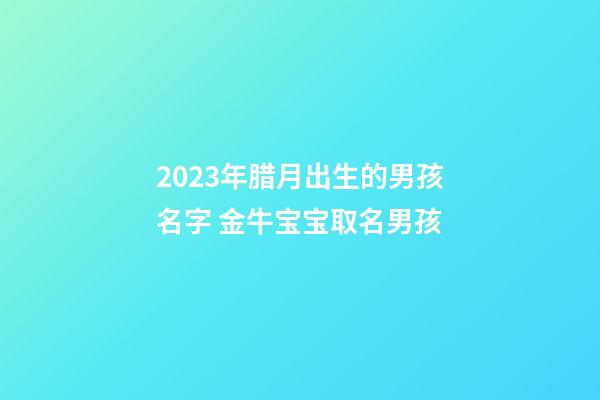 2023年腊月出生的男孩名字 金牛宝宝取名男孩